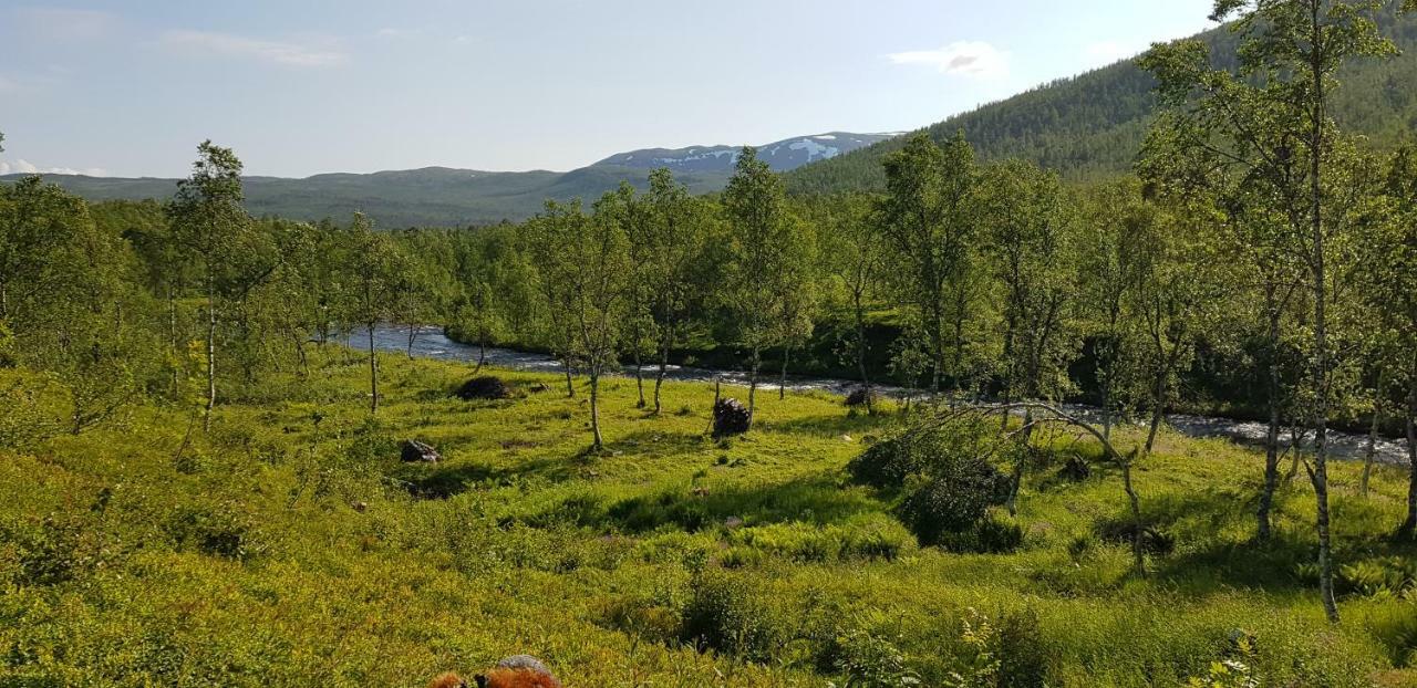 Villa Elvestua Gibostad Esterno foto